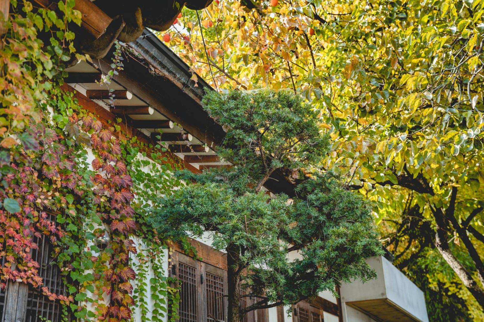 Hotelarrive Jeonju Sihwayeonpung Екстер'єр фото